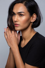 Load image into Gallery viewer, Sugar & Spice Earrings